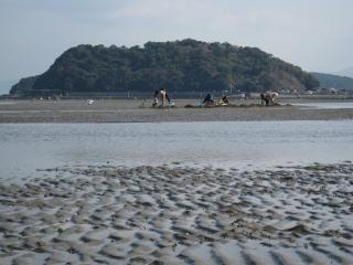 白石海岸の画像2