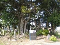 平清経塚の画像