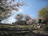 松山城跡の画像