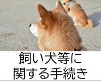 飼い犬に関する手続き