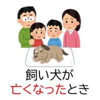 飼い犬が亡くなったときの手続き