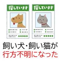 飼い犬や猫が行方不明になったときの手続き