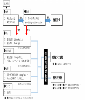 特定保健指導レベル別け