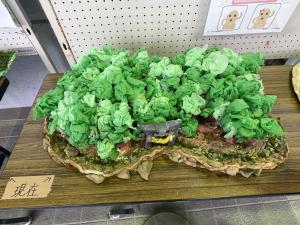 御所山古墳の模型2