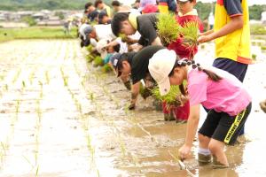 美味しいお米ができますように！