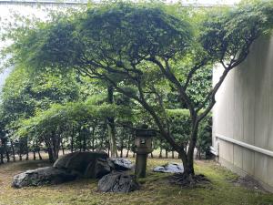 庭園案内の様子④