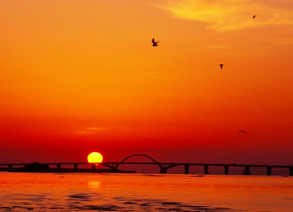 新北九州空港大橋から昇る太陽