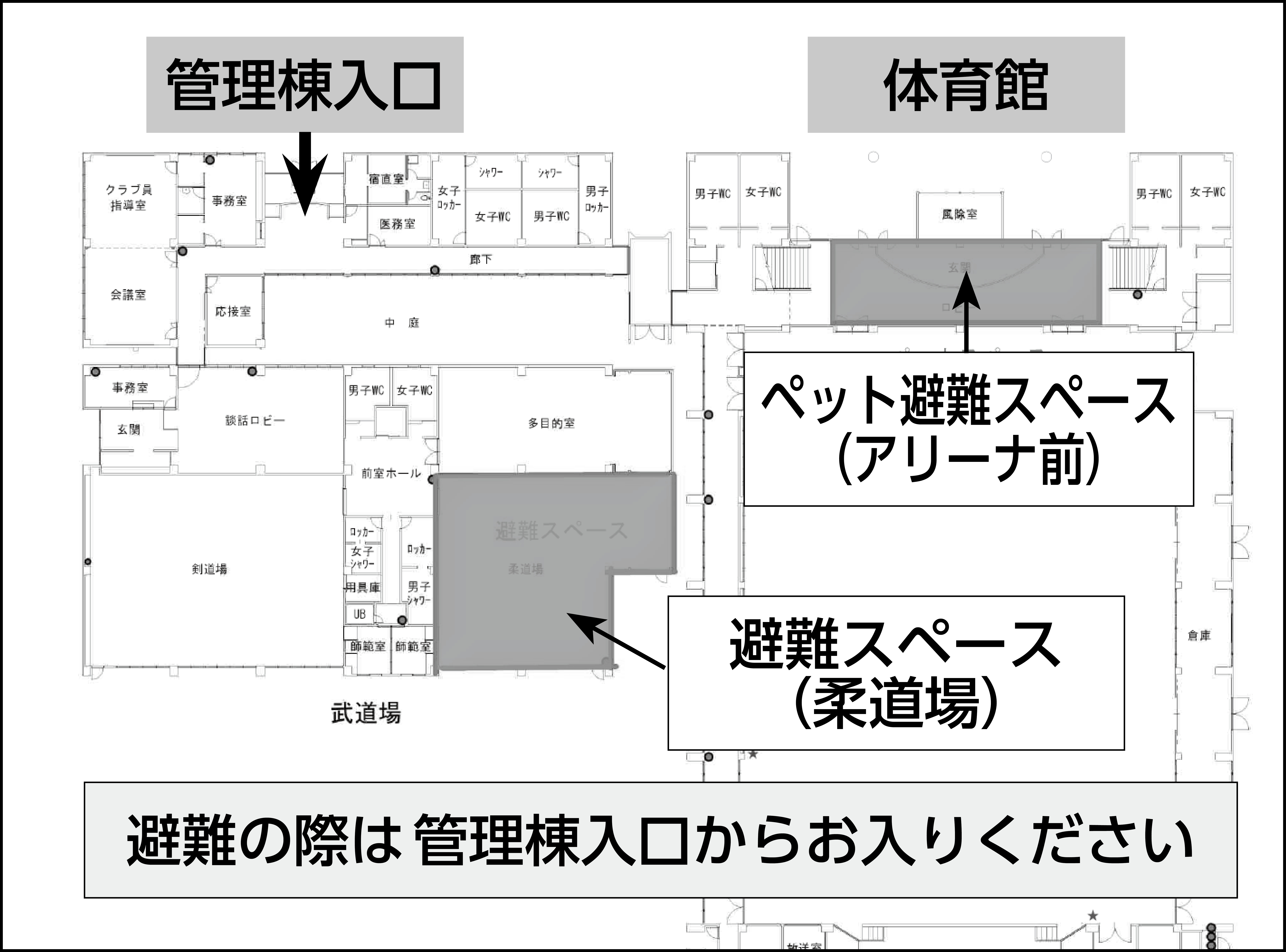 総合体育館